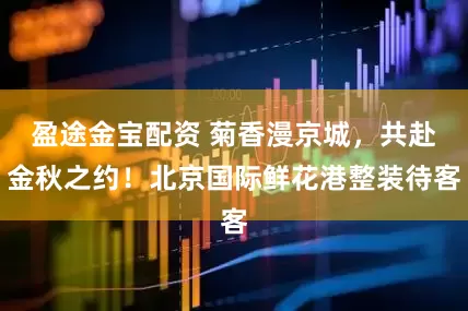 盈途金宝配资 菊香漫京城，共赴金秋之约！北京国际鲜花港整装待客
