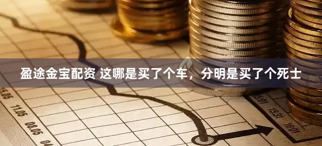 盈途金宝配资 这哪是买了个车，分明是买了个死士