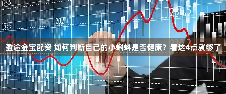 盈途金宝配资 如何判断自己的小蝌蚪是否健康？看这4点就够了